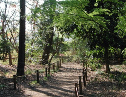 野川緑地公園