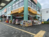 マツモトキヨシ湘南台東口店