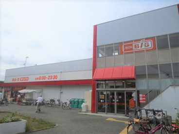 ザ・ビッグ 厚木旭町店の画像1