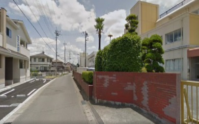 の画像