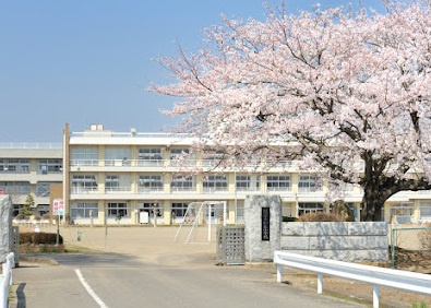 の画像