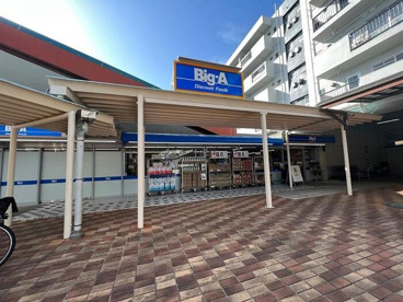 ビッグ・エー 町田鶴川団地店の画像1