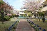 中島小学校