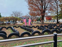 宮脇公園