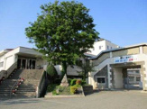 南中学校
