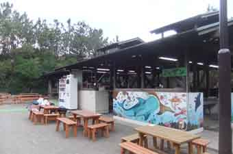 茅ヶ崎市柳島キャンプ場の画像1