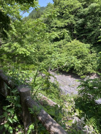 大柳川渓流公園 キャンプ場の画像4