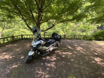大柳川渓流公園 キャンプ場の画像5