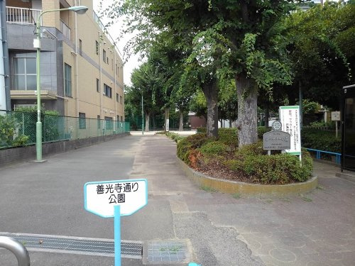 の画像