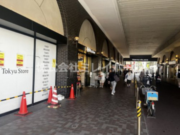 東急ストア　蒲田店の画像2
