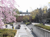 大谷大学