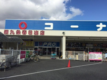 コーナン西九条春日出店
