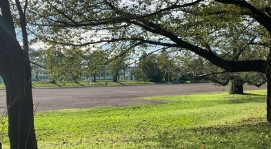 中原公園の画像1