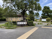 陽光緑地