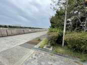 東海岸緑地