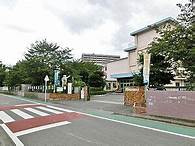 の画像