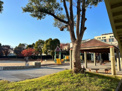 公園 本庄中央公園