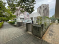 保育園 光の子認定こども園