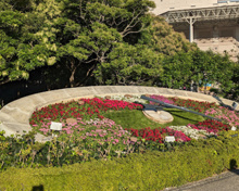 公園 ジュネーブフォレスト