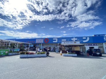 コーナン りんくう羽倉崎店の画像1