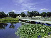 乙戸沼公園の画像1