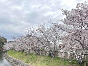大蓮公園の画像4