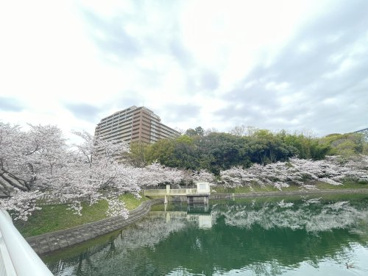 大蓮公園の画像5