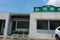 新井動物病院