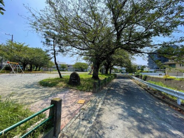 西酒匂大道公園の画像2