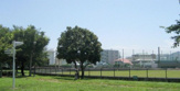 沼津北公園