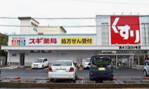 スギドラッグ 清水口店