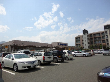 ケーヨーデイツー 洛西店の画像1
