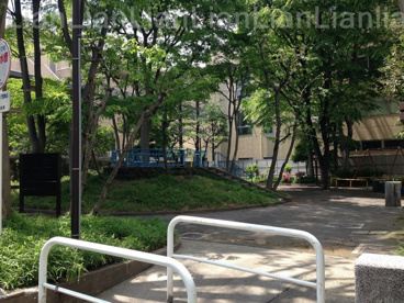 東五軒町公園の画像1