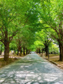 練馬区立 夏の雲公園