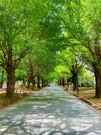 練馬区立 夏の雲公園の画像1