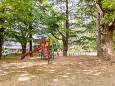 練馬区立 夏の雲公園の画像2