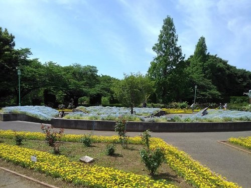 の画像
