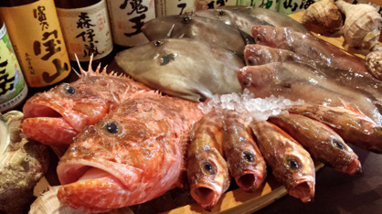 居酒屋　うかいの画像2