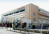 ヨシヅヤ太平通り店