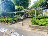 中落合公園