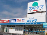 ドラッグスギヤマ 大野木店