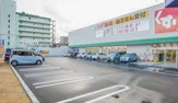 スギ薬局 内山店