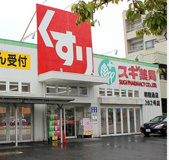 スギ薬局 瑞穂通店
