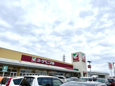 ヨークベニマル小山ゆうえんち店の画像1