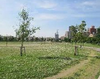 川名公園の画像1