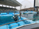 名古屋港水族館の画像
