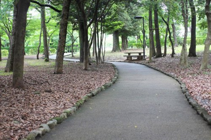 瑞穂公園の画像1