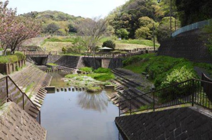 野寺親水公園の画像1
