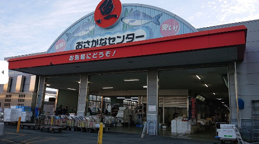 の画像