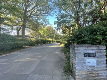金ヶ作公園の画像1